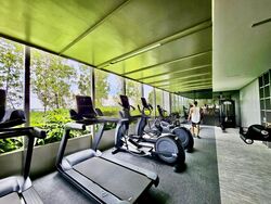 Amber Park (D15), Condominium #455932721